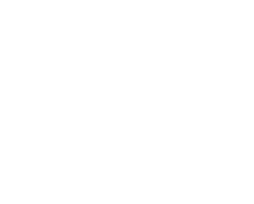 Logo h3 phoenix ONE